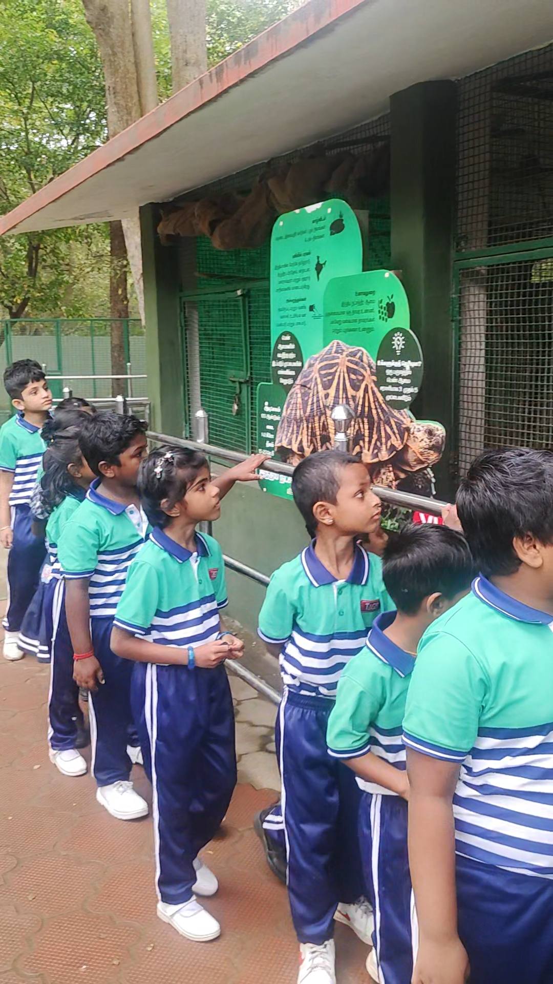 Field Trip - Students at Zoo